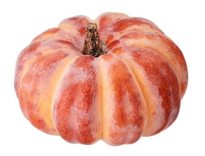 Regency Floral Fillers Harvest Vine Pumpkin, Large (Various Colors) 1 Regency Floral Fillers Harvest Vine Pumpkin, Large (Various Colors)