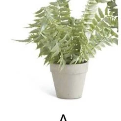 K&K Interiors Real Touch Fern In Gray Pot (Various Styles) Greenery