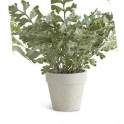K&K Interiors Real Touch Fern In Gray Pot (Various Styles) Greenery