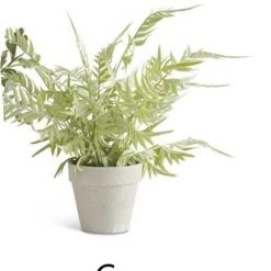K&K Interiors Real Touch Fern In Gray Pot (Various Styles) Greenery