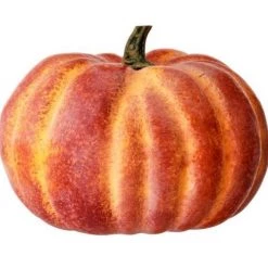 Regency Harvest Vine Pumpkin, Small (Various Colors) Floral Fillers