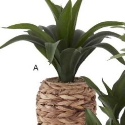 K&K Interiors Plants & Potted Items Foliage In Woven Round Basket (Various Styles)