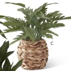 K&K Interiors Plants & Potted Items Foliage In Woven Round Basket (Various Styles)
