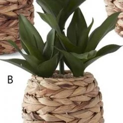 K&K Interiors Plants & Potted Items Foliage In Woven Round Basket (Various Styles)