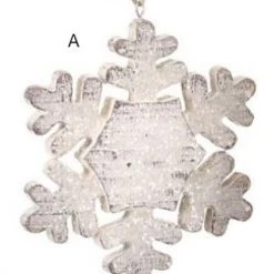 Regency Frosted Resin Snowflake Ornament (Various Styles) Ornaments