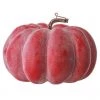 Regency Floral Fillers Weathered Pumpkin (Various Colors)
