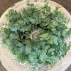 MeraVic Floral Arrangements 12" Eucalyptus Mini Wreath