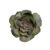 MeraVic Floral Fillers 5.5" Echeveria Succulent, Olive Green
