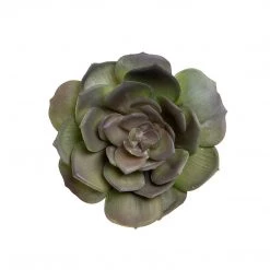 MeraVic Floral Fillers 5.5" Echeveria Succulent, Olive Green