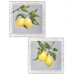 Regency Painted Lemon Branch On A Screen Paintings & Prints