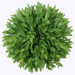A&B Floral 11.5" Half Round Ruscus Ball, 2-Tone Green Floral Fillers