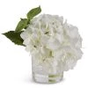K&K Interiors Plants & Potted Items 9" Real Touch Hydrangea In Glass Vase, White