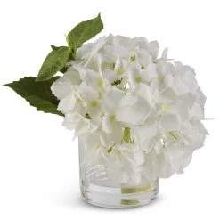 K&K Interiors Plants & Potted Items 9" Real Touch Hydrangea In Glass Vase, White