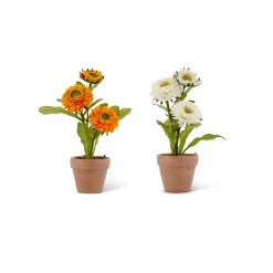 K&K Interiors 10" Triple Head Zinnia In Ceramic Pot (Various Colors) Plants & Potted Items