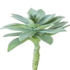 American Best 15" Aeonium Pick, Dark Sage