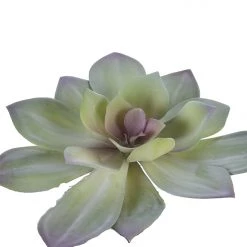 American Best Floral Stems 6" Aeonium Succulent, Green