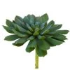 American Best Floral Stems 6.5" Aeonium Succulent, Sage Green