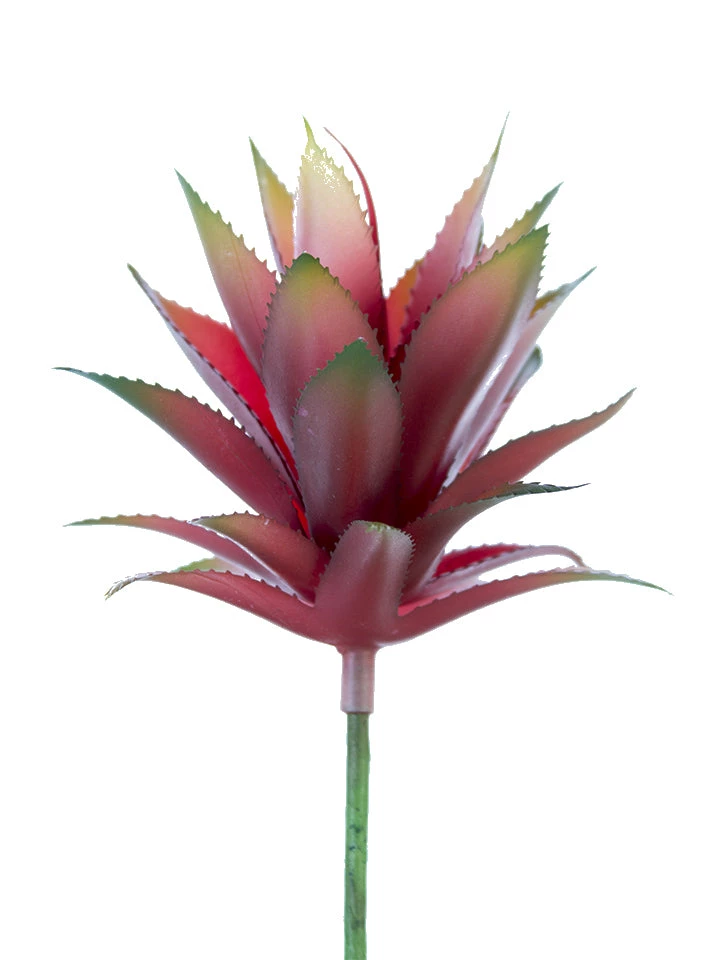 American Best Floral Stems 8" Agave Pick, Red Green 1 American Best Floral Stems 8" Agave Pick, Red Green