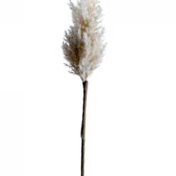 American Best 33" Dried Astible Spray, Cream