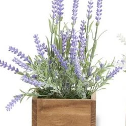 K&K Interiors Lavender Plant In Square Wooden Pot (Various Styles) Plants & Potted Items