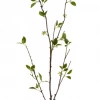 American Best 55" Bouvardia Vine Branch, Green