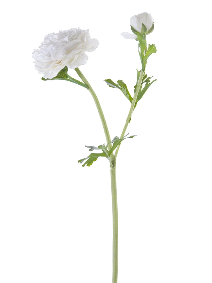 American Best Floral Stems 22" Butter Cup Ranunculus Spray (Various Colors) 1 American Best Floral Stems 22" Butter Cup Ranunculus Spray (Various Colors)