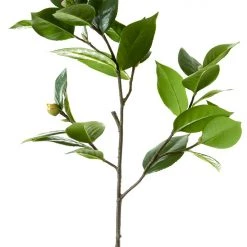 American Best 27" Camellia Leaf Branch With Bud Greenery