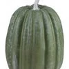A&B Floral White Wash Sage Pumpkin (Various Sizes) Fall Home Decor