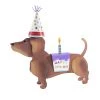 Round Top Collection Dress-Up Dog Costume, Birthday