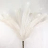 A&B Floral Floral Fillers 52" Feather Reed Spray (Cream)