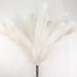 A&B Floral Floral Fillers 47.25" Feather Reed Spray (Cream)