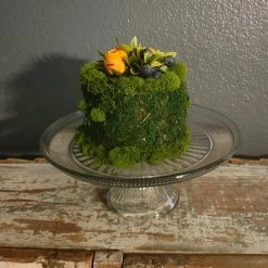 Diane Floral Arrangements 6" Moss Cake