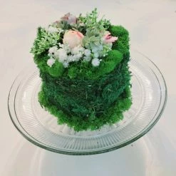 Diane 6" Moss Cake With Pink And White Accents