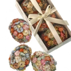Regency Dried Floral Eggs, Set Of 3