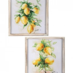 Regency Framed Canvas Lemon Painting (Various Styles) Paintings & Prints
