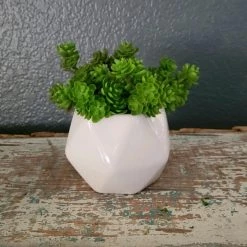 Diane Floral Arrangements 3" Geometric Sit Around.