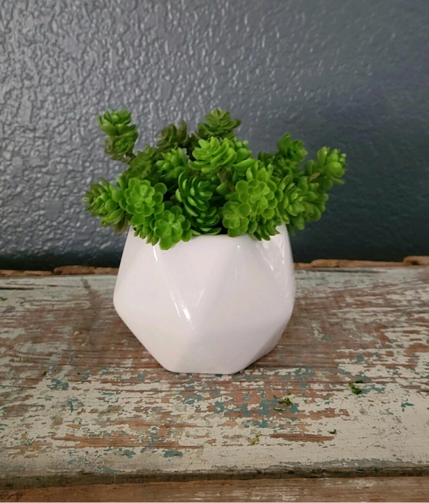 Diane Floral Arrangements 3" Geometric Sit Around. 1 Diane Floral Arrangements 3" Geometric Sit Around.