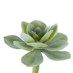 American Best 12" Hen & Chick Leg Pick, Sage