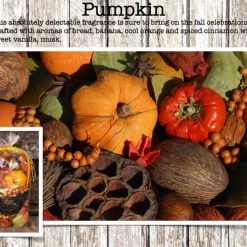 MGR Design International Potpourri Bag (Various Scents)