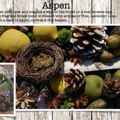 MGR Design International Potpourri Bag (Various Scents)