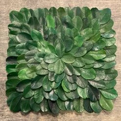 K&K Interiors Square Preserved Boxwood Coaster