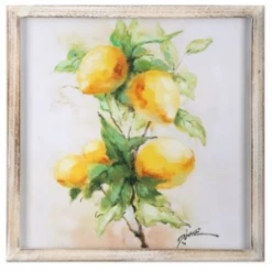 Regency Framed Canvas Lemon Painting (Various Styles) Paintings & Prints