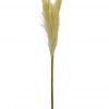American Best Floral Stems 30" Pampas Grass Spray, Cream