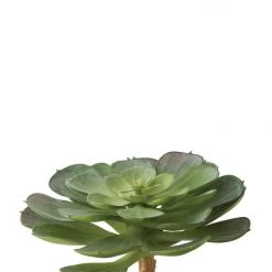 American Best 6" Echeveria Succulent Floral Stems