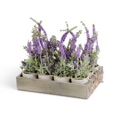K&K Interiors 6" Potted Purple Lavender Plant Plants & Potted Items