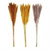 Mud Pie Floral Stems Preserved Pampas Grass (Various Colors)