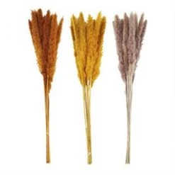 Mud Pie Floral Stems Preserved Pampas Grass (Various Colors)