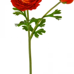American Best 22" Real Touch Ranunculus Stem, Red Orange