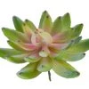 American Best Floral Stems 3.5" Sedeveria Pick, Green With Pink