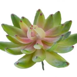 American Best Floral Stems 3.5" Sedeveria Pick, Green With Pink